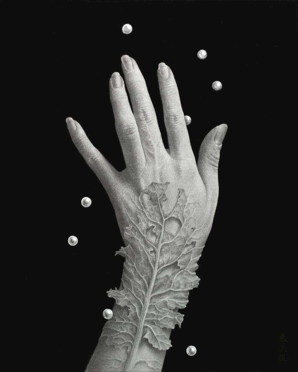 Amahi Mori’s Surreal Hybrids (12)