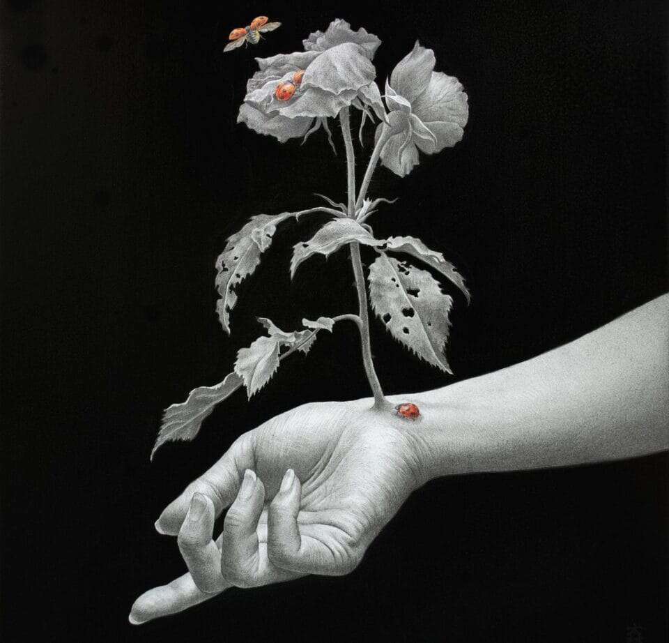 Amahi Mori’s Surreal Hybrids (6)