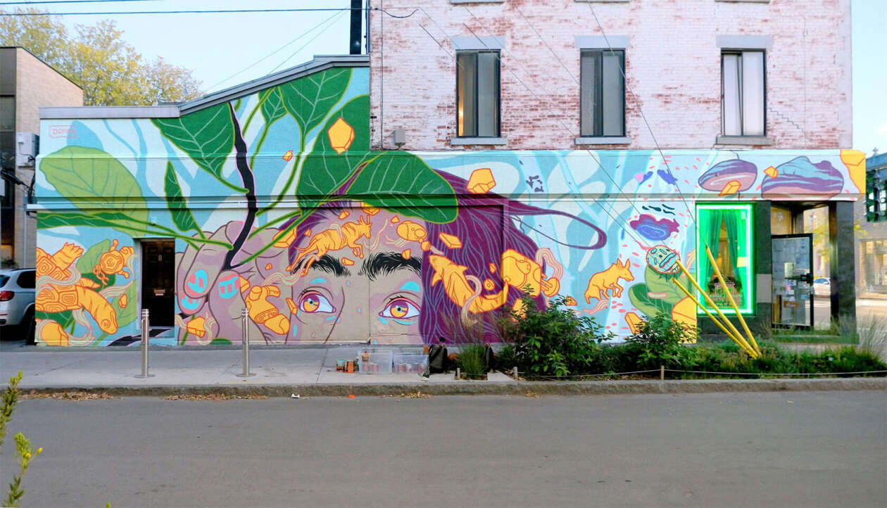 Doras' Vibrant Large Scale Urban Murals (12)
