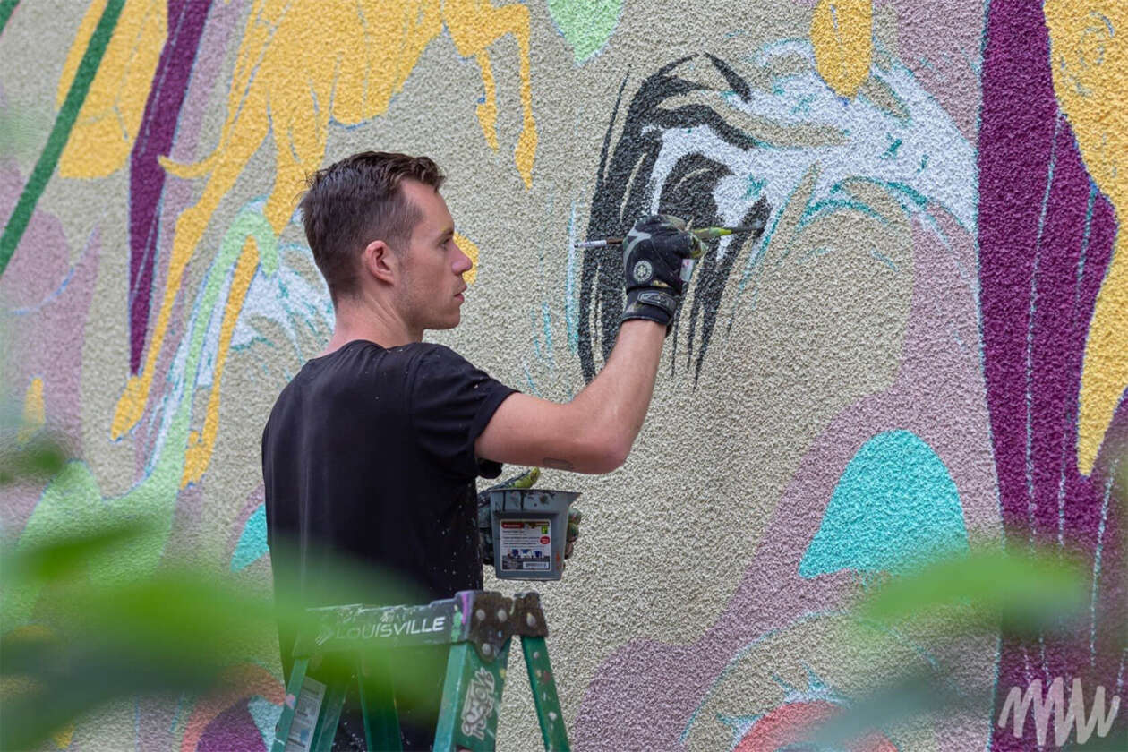 Doras' Vibrant Large Scale Urban Murals (19)