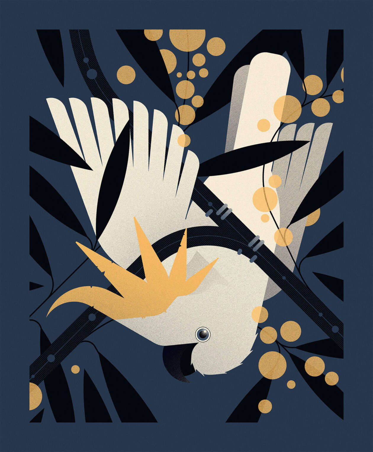 Emma Clinton's Nature Illustrations (14)