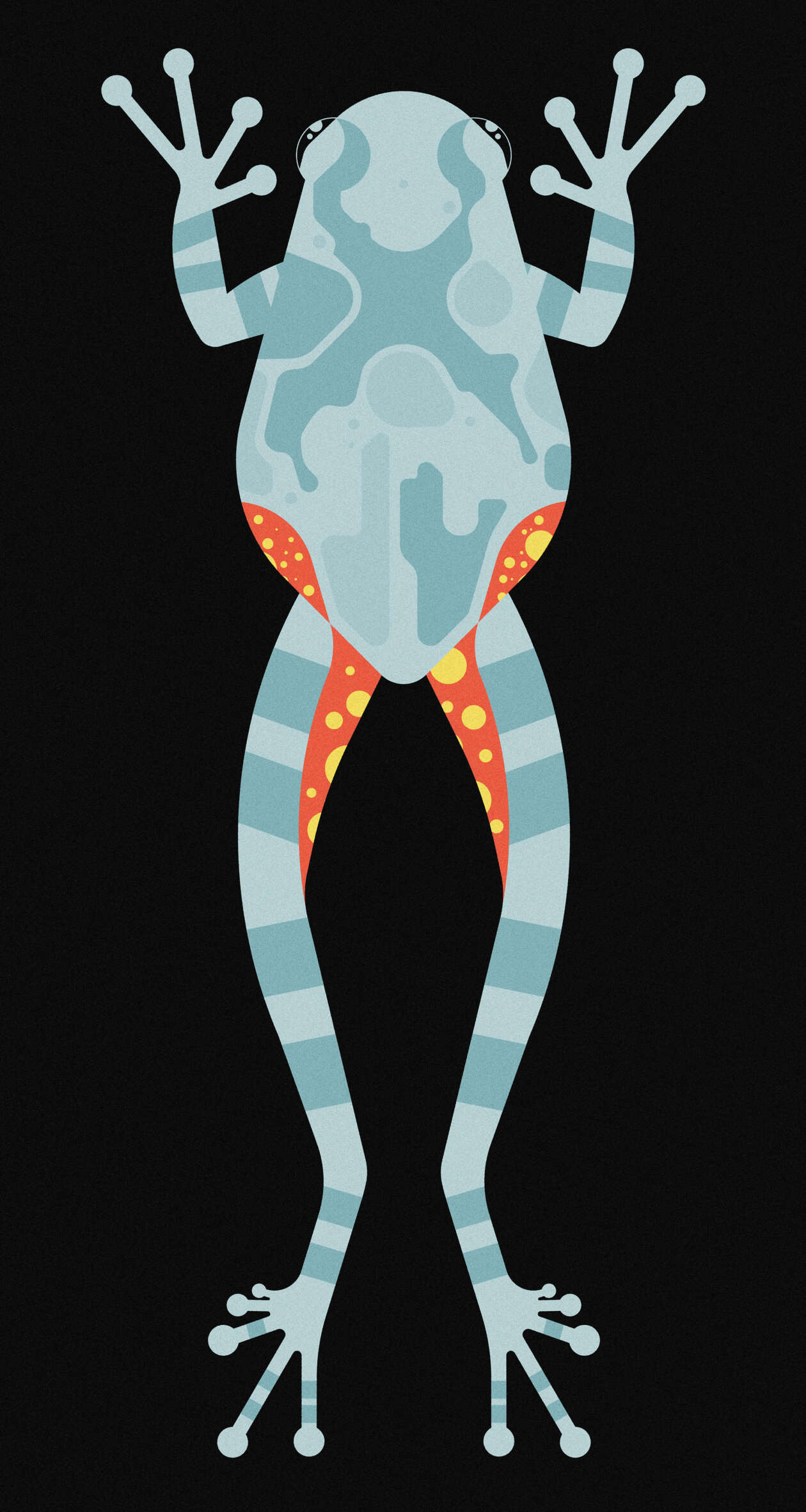 Emma Clinton's Nature Illustrations (6)