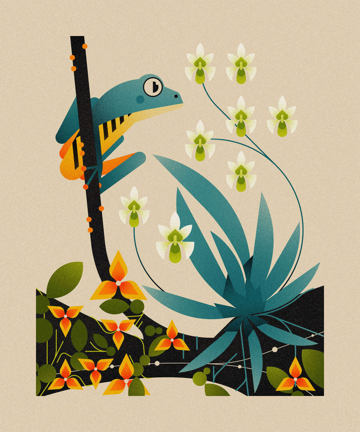 Emma Clinton's Nature Illustrations (7)