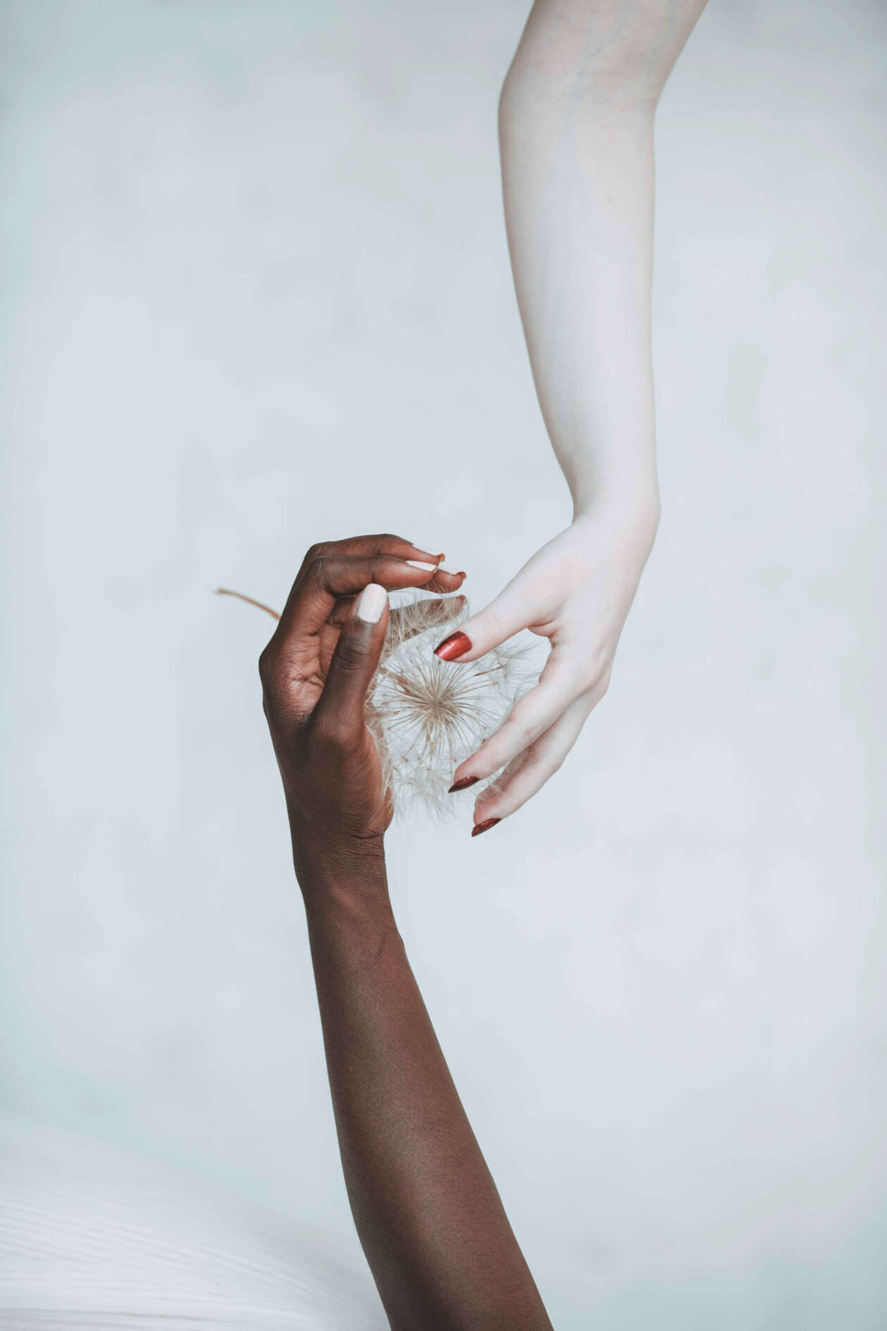 Jovana Rikalo’s Sun And Moon Photography Series (5)