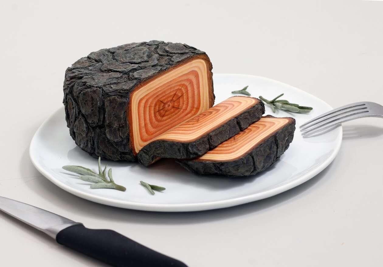 Joyce Lin's Surreal Sculptural Furniture (13)