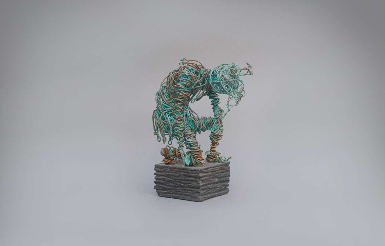 Karen Akhikyan’s Wire Sculptures (12)