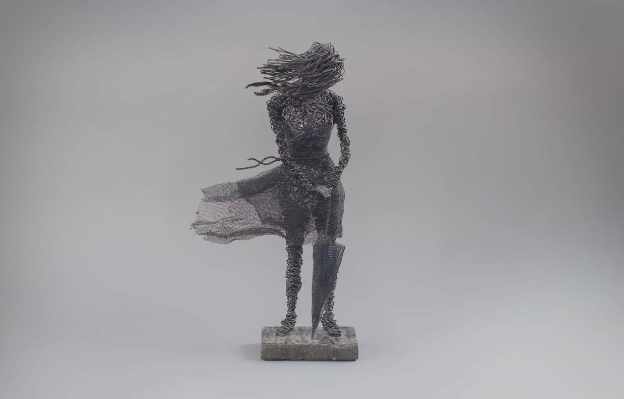 Karen Akhikyan’s Wire Sculptures (14)