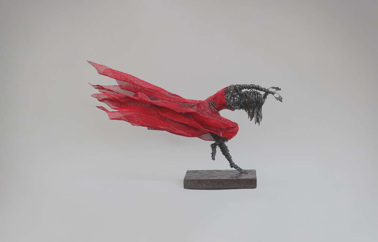 Karen Akhikyan’s Wire Sculptures (17)