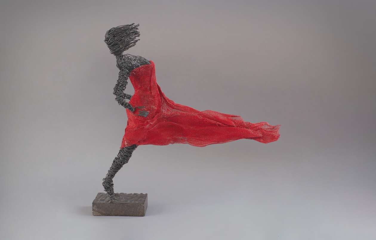 Karen Akhikyan’s Wire Sculptures (24)