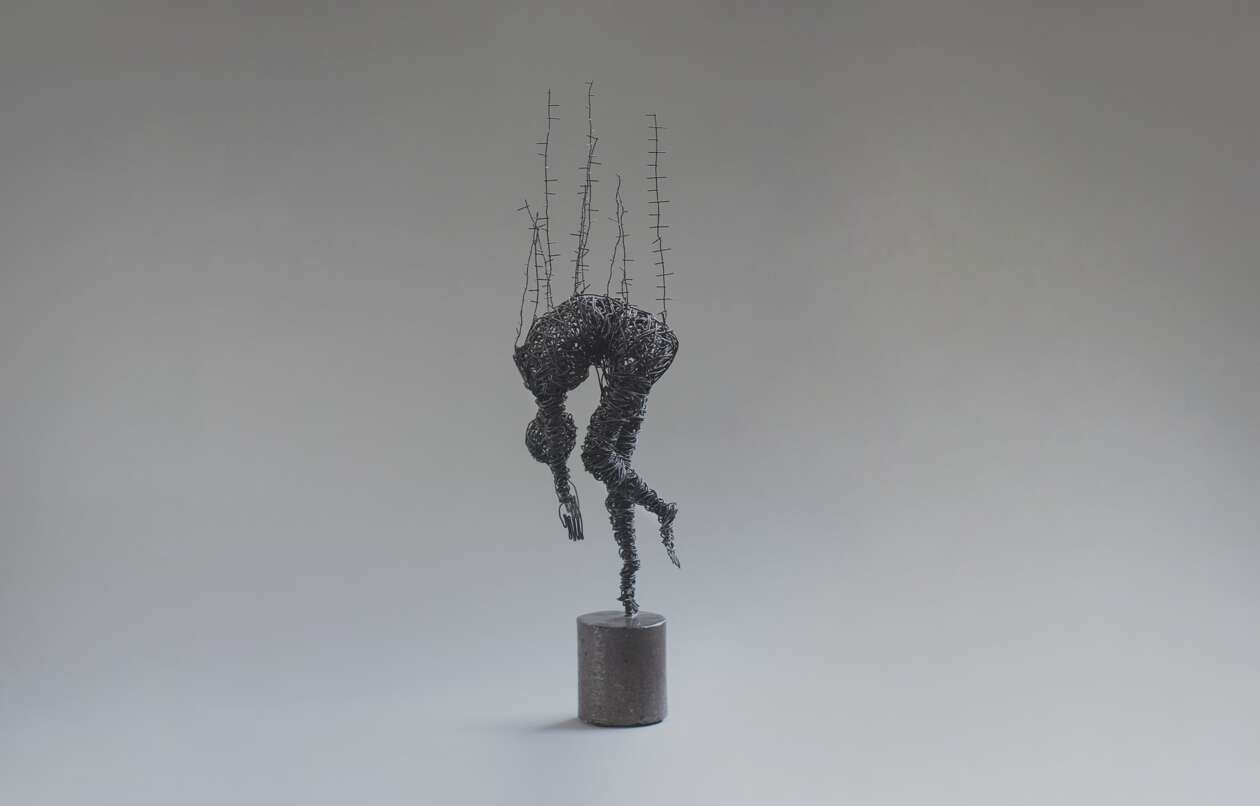 Karen Akhikyan’s Wire Sculptures (25)