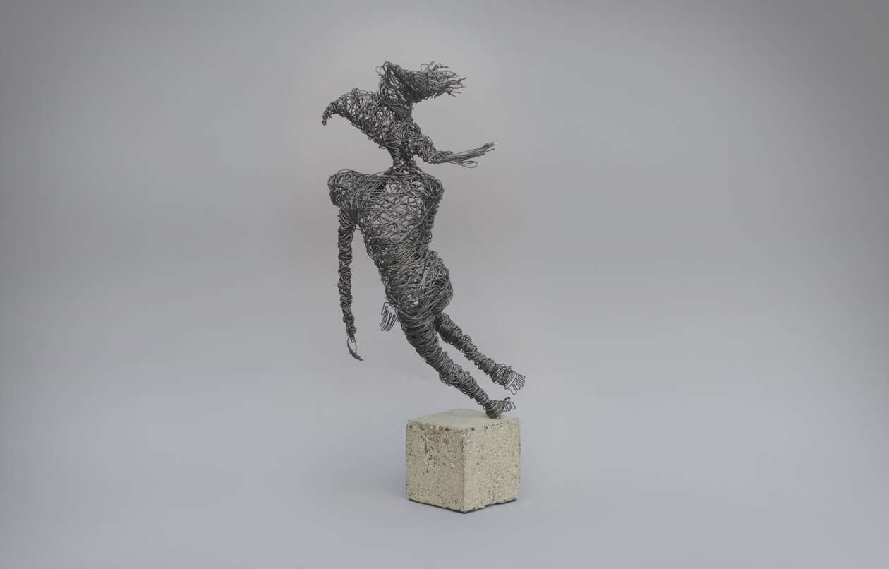 Karen Akhikyan’s Wire Sculptures (8)