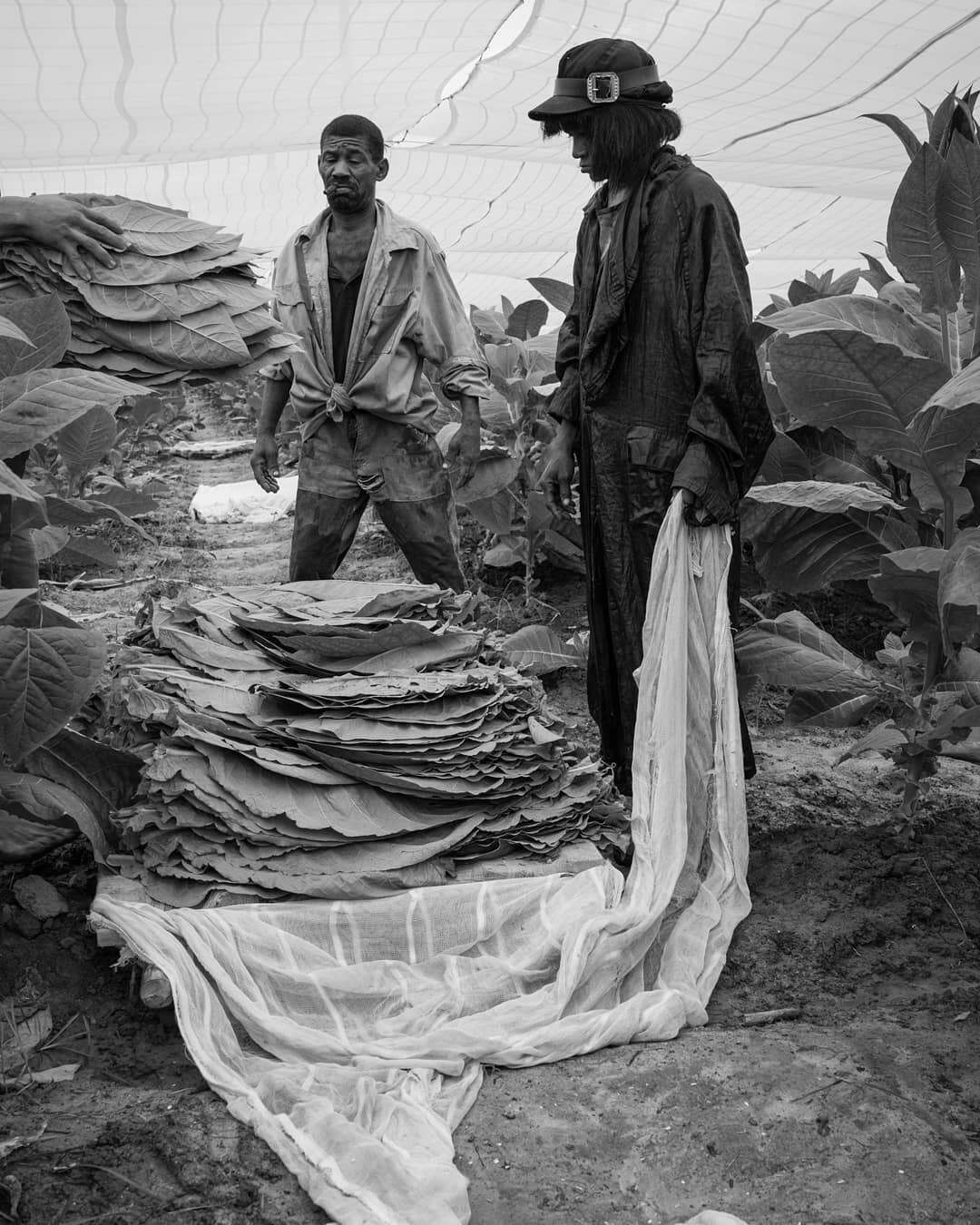 Richard Sharum's America's Heartlan Photography (4)