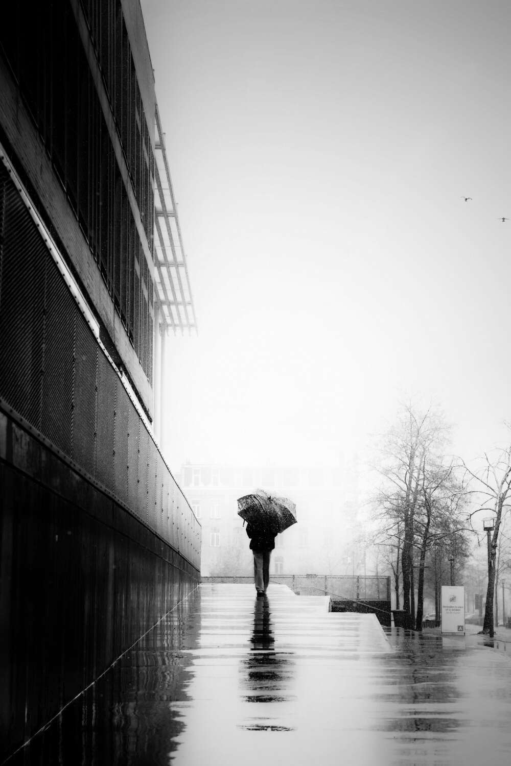Black And White Street Photography By Mania De Praeter (1)