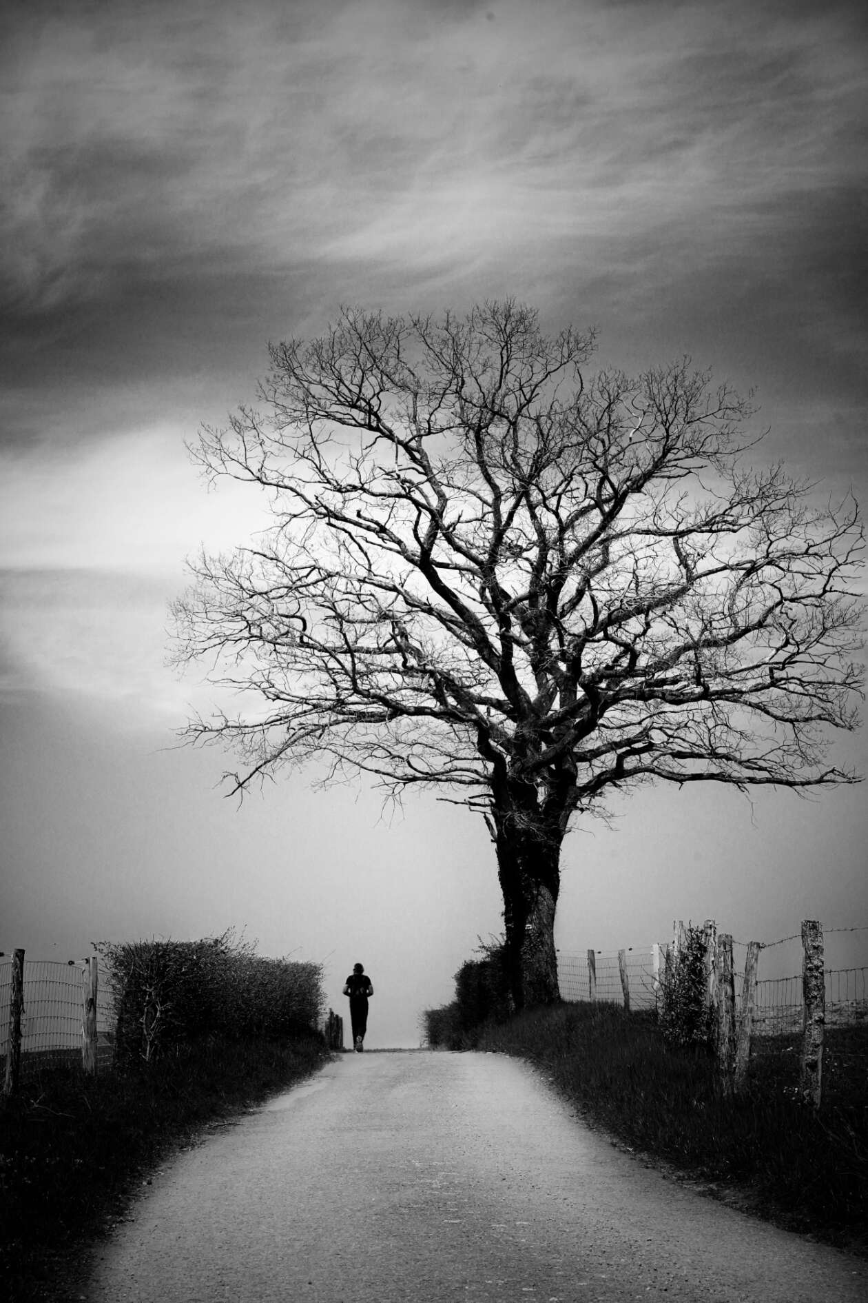 Black And White Street Photography By Mania De Praeter (15)