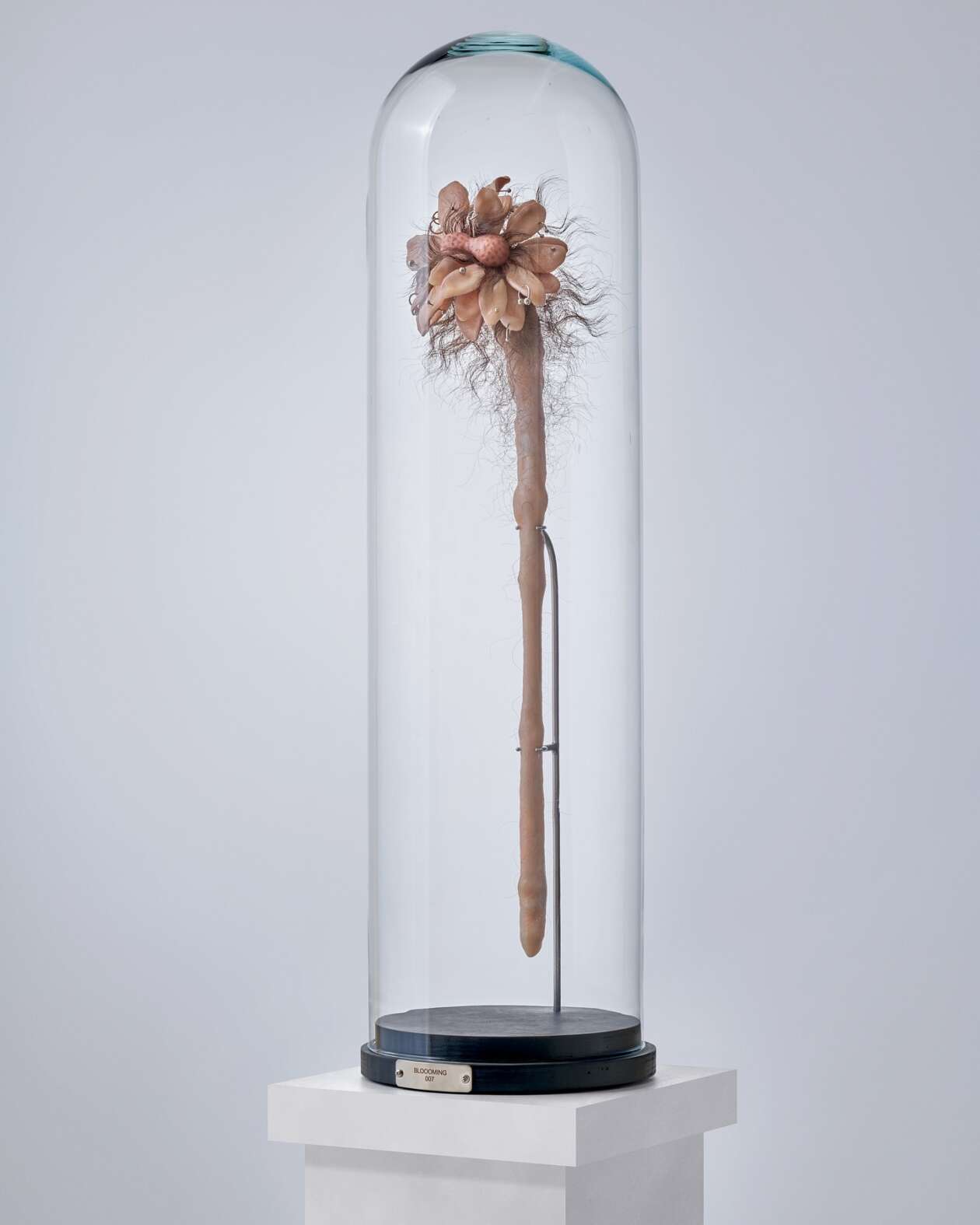 Dae Uk Kim's Surreal Human Object Hybrid Sculptures (13)