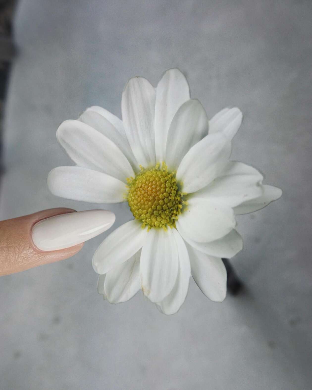 Dudi Ben Simon's Creative Photography (13)