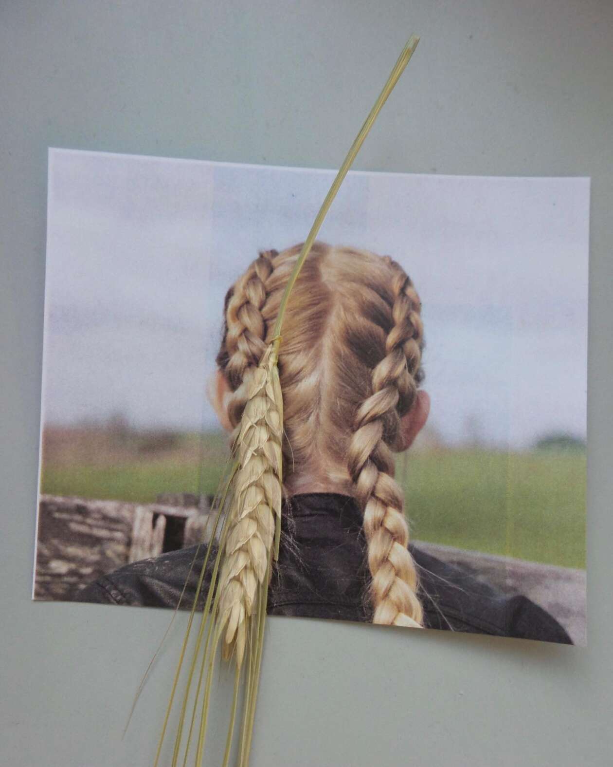 Dudi Ben Simon's Creative Photography (17)