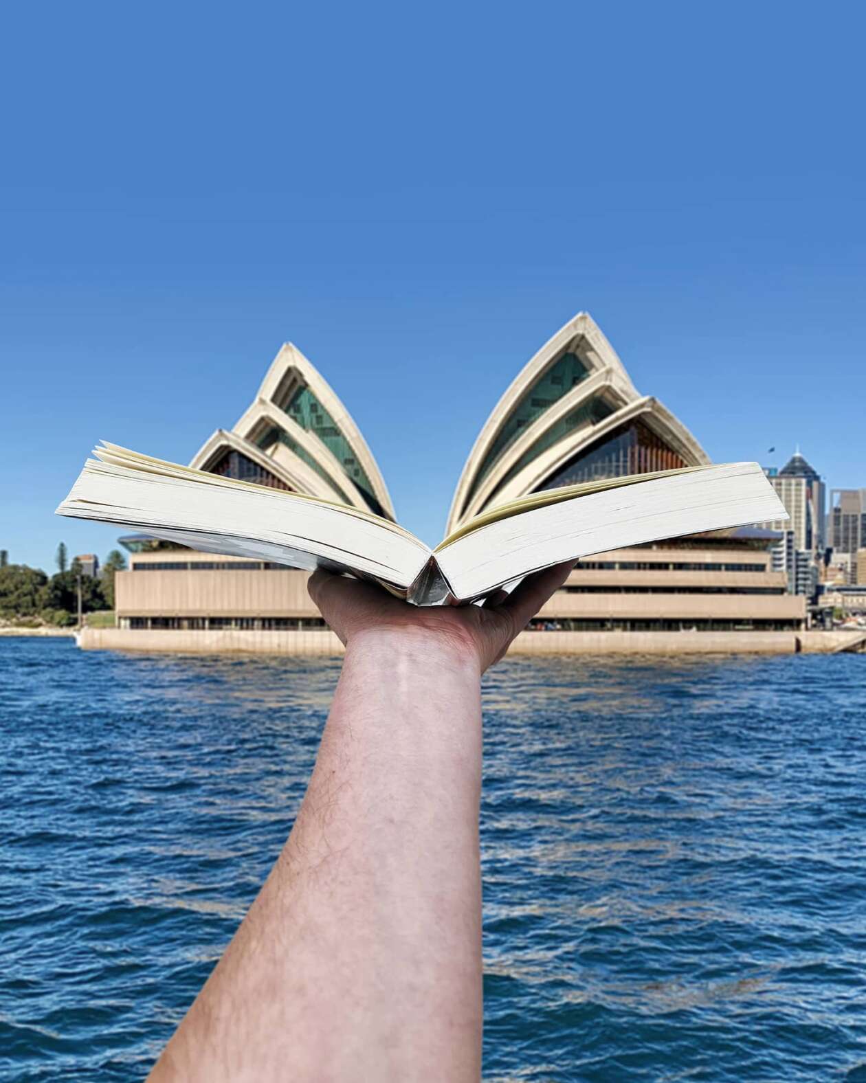 Hugo Suíssas' Clever Collages (3)