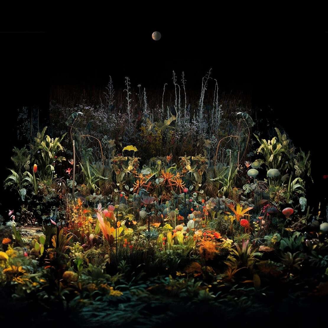 Mary Mattingly’s ‘night Gardens’ Collage Series (8)