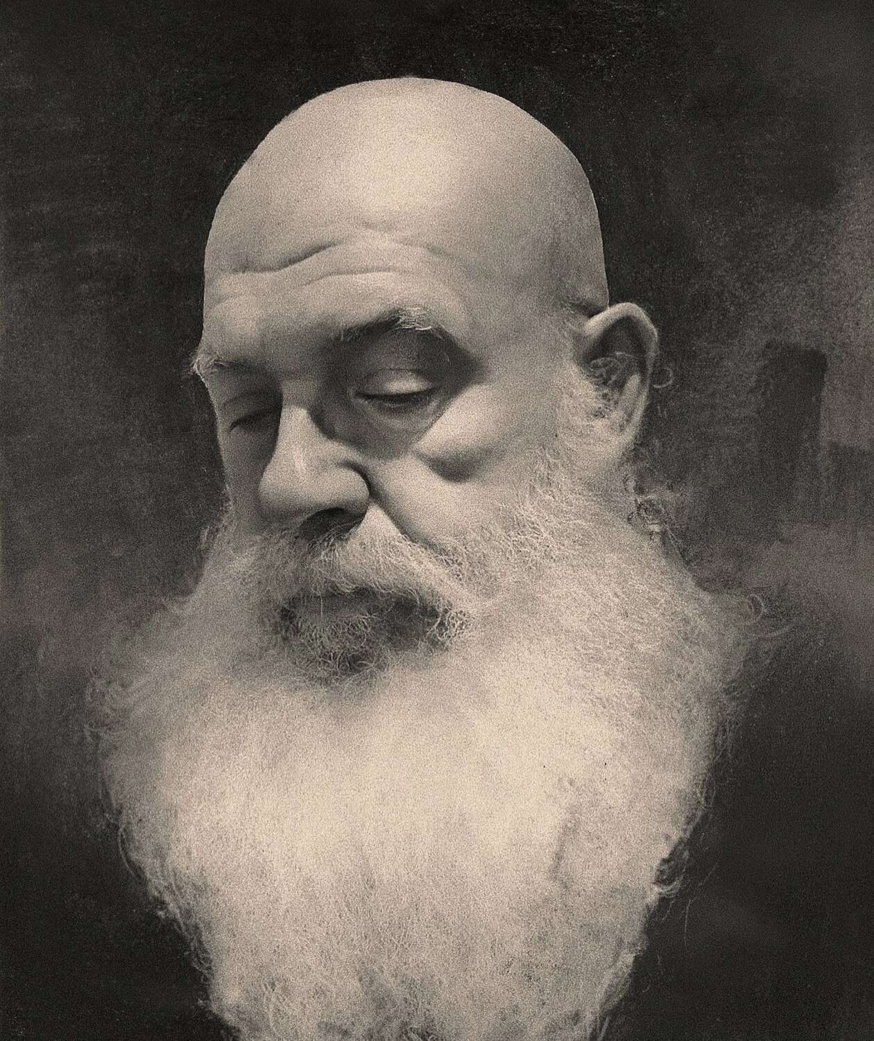 Portrait Illustrations By John Fenerov (8)