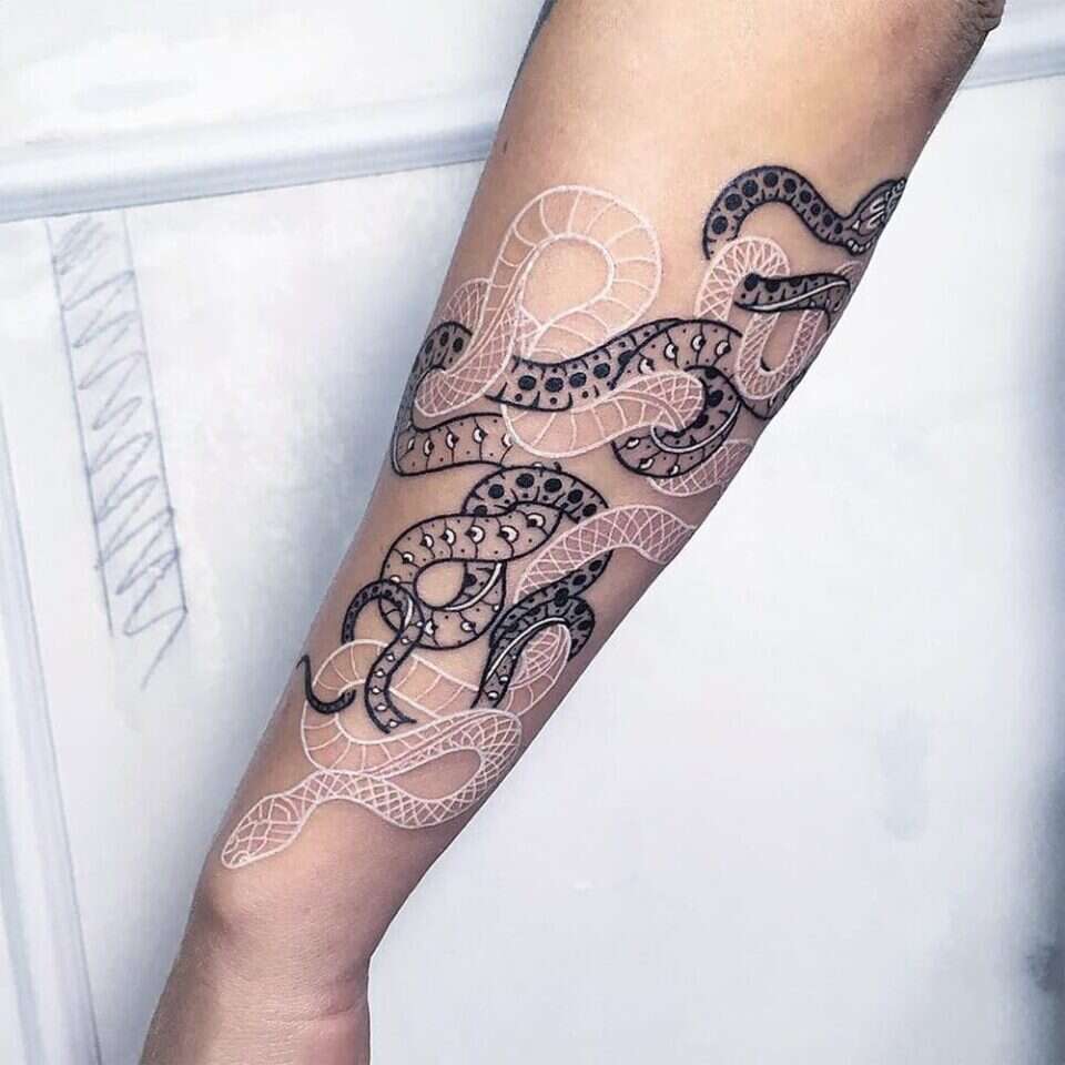 Serpentine Tattoos By Mirko Sata (16)