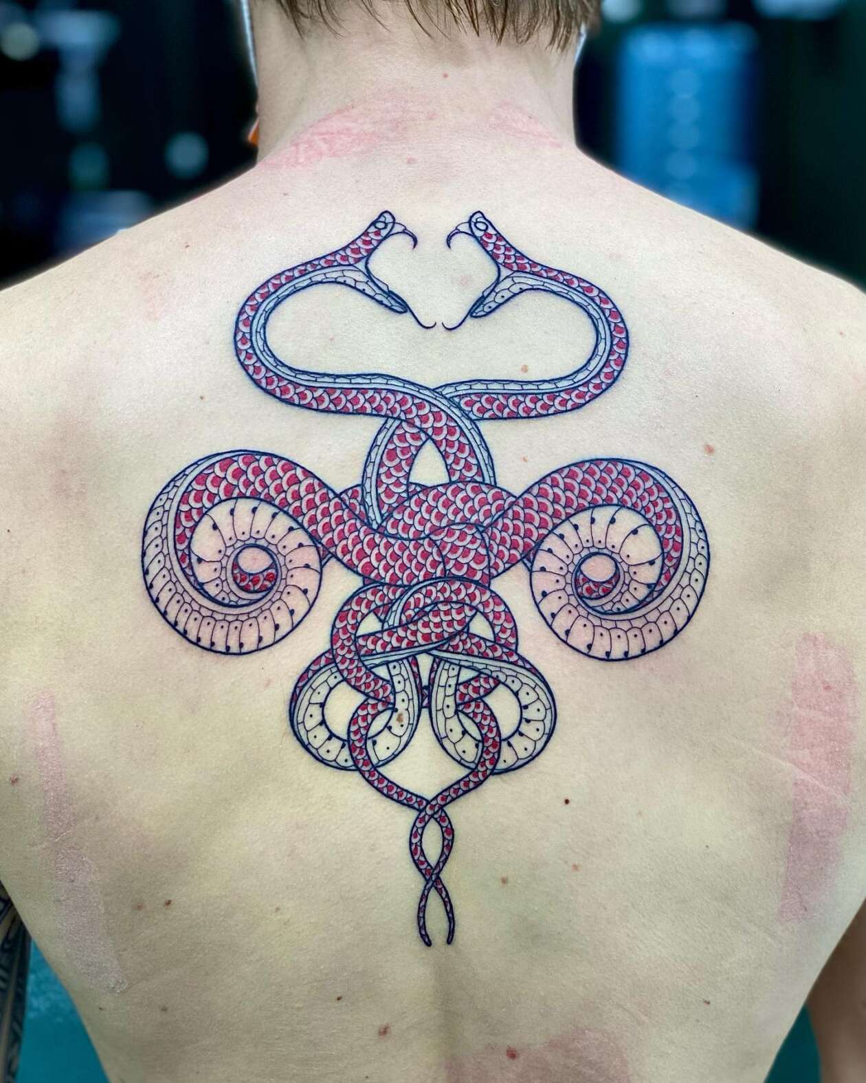 Serpentine Tattoos By Mirko Sata (2)