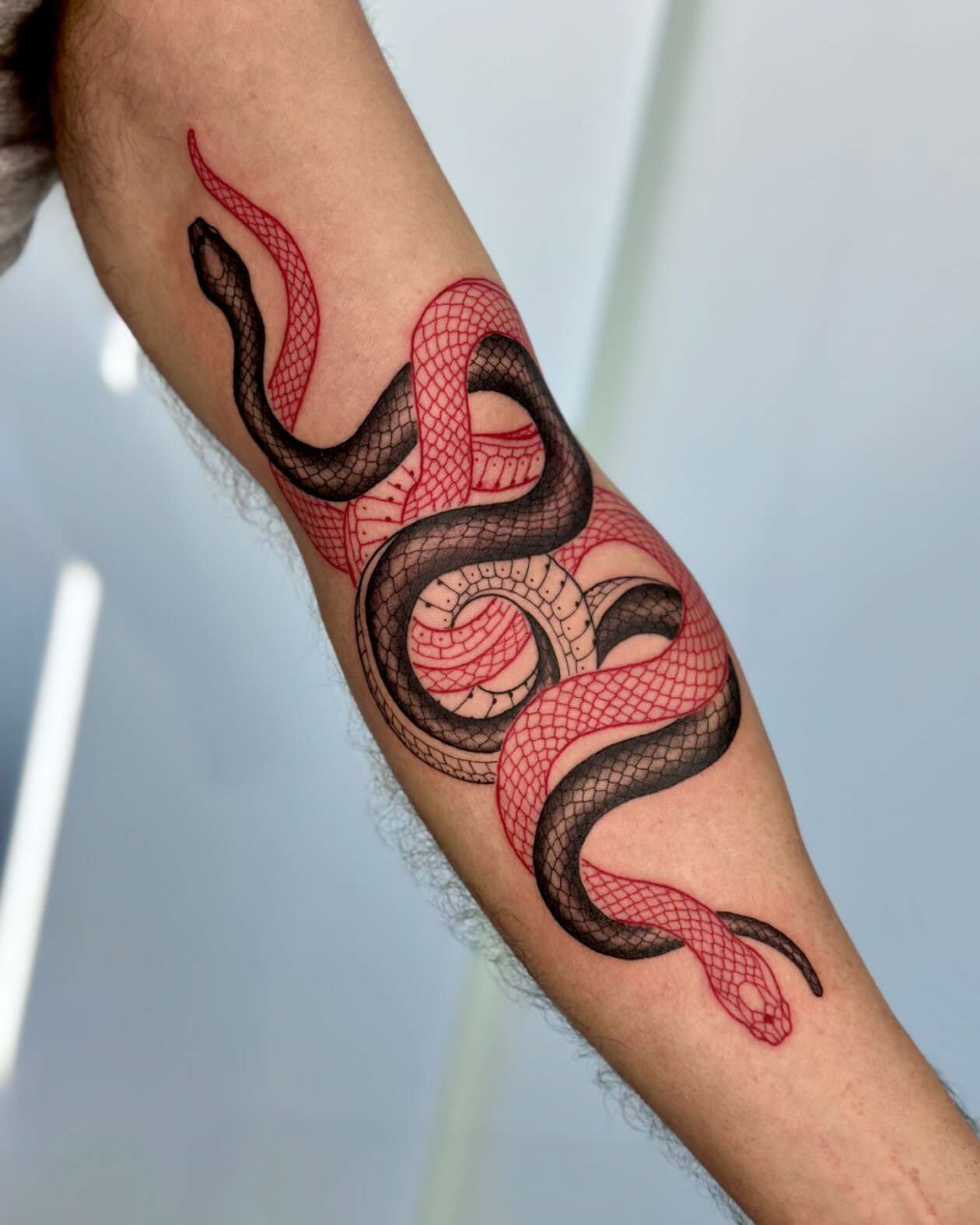 Serpentine Tattoos By Mirko Sata (6)