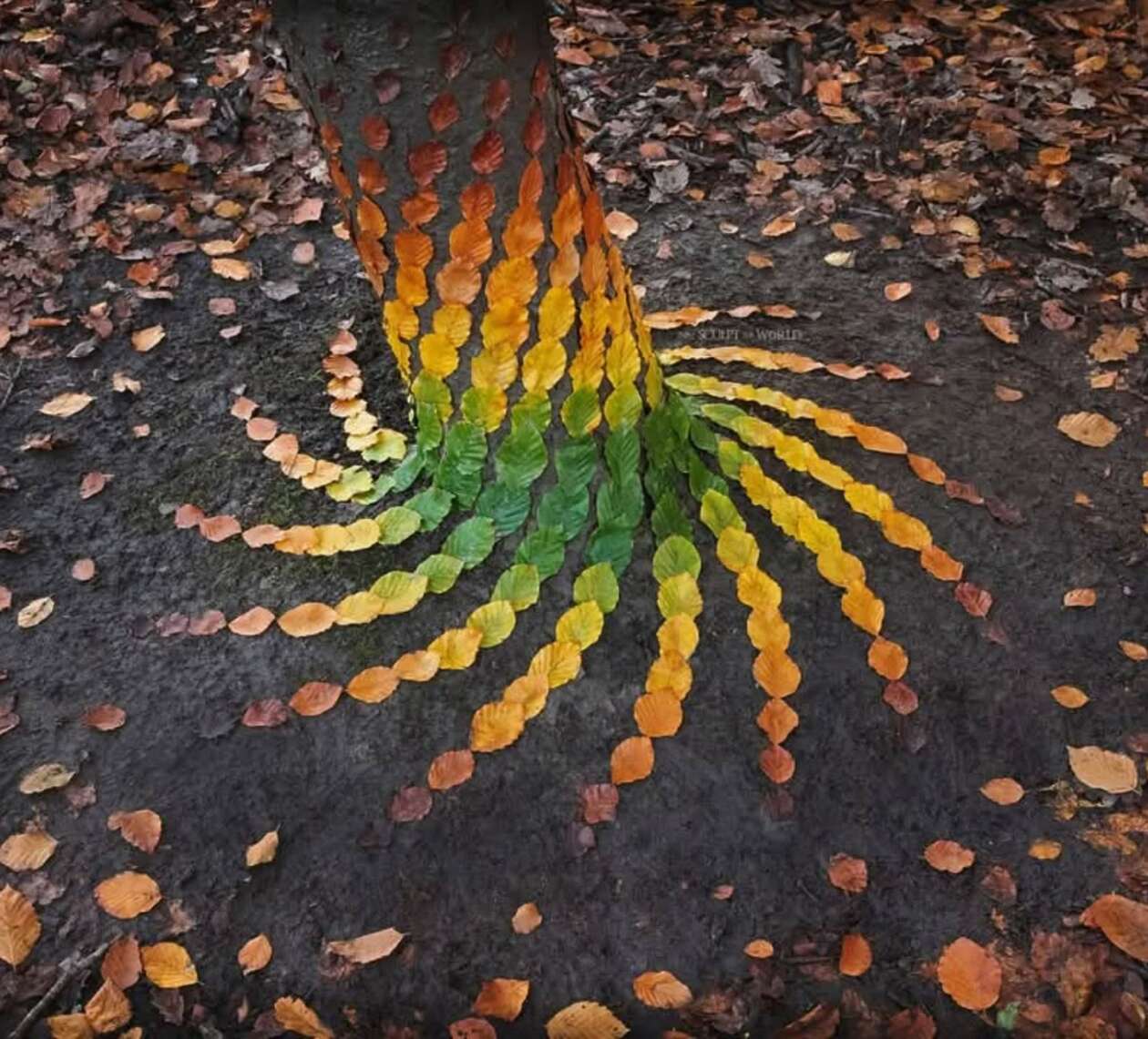 Jon Foreman’s Land Art (10)
