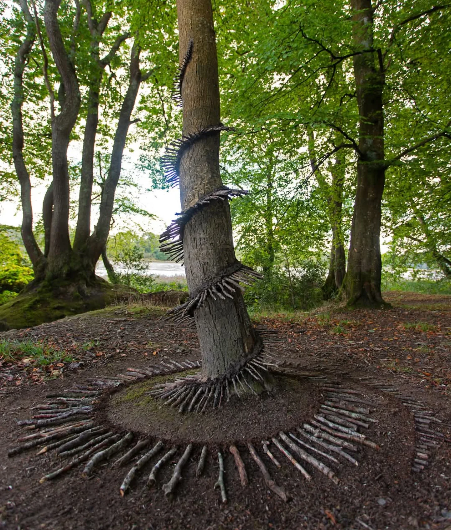 Jon Foreman’s Land Art (11)