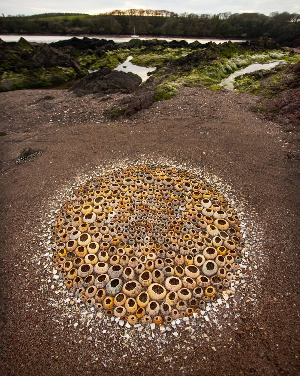 Jon Foreman’s Land Art (5)