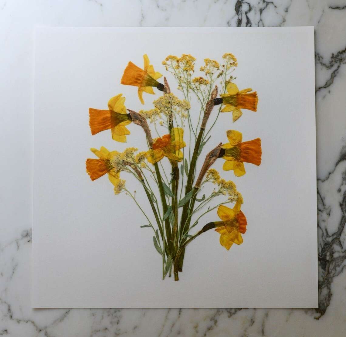 Karly Murphy’s Pressed Flower Greeting Cards (6)