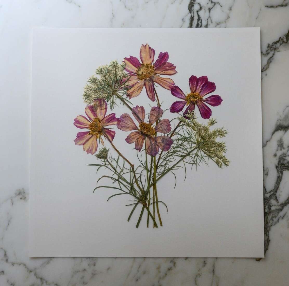 Karly Murphy’s Pressed Flower Greeting Cards (7)