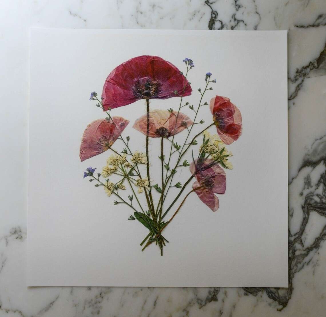 Karly Murphy’s Pressed Flower Greeting Cards (8)
