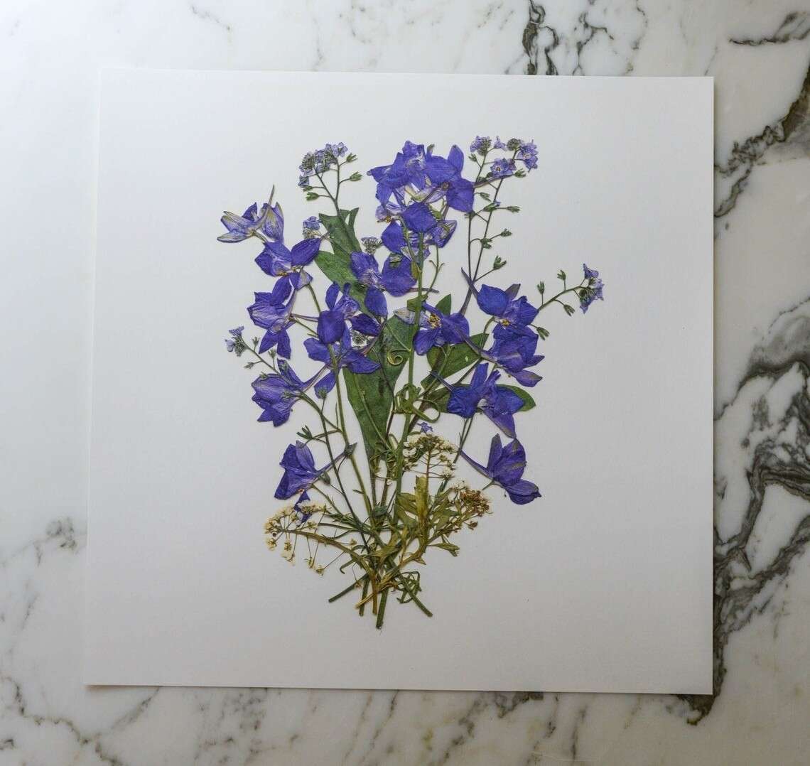 Karly Murphy’s Pressed Flower Greeting Cards (9)