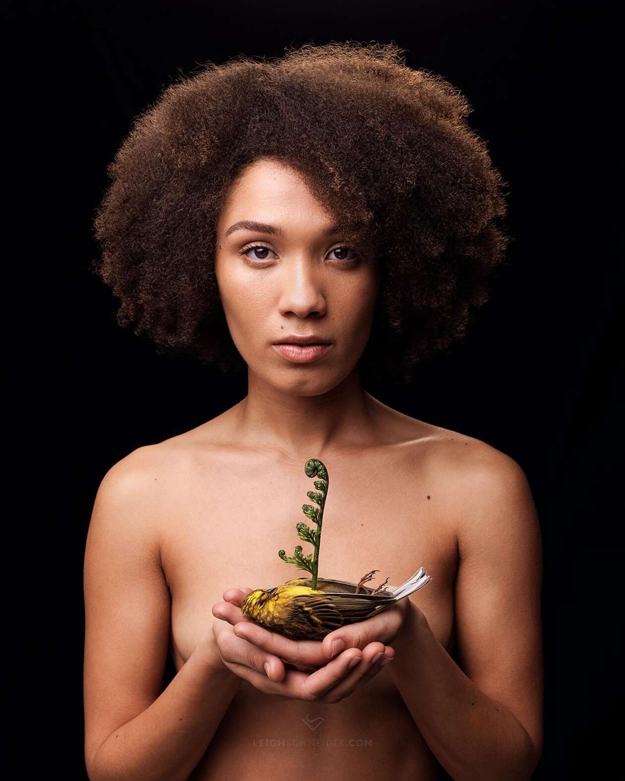 Leigh Schneider's Dark, Surreal, And Symbolic Photography (12)