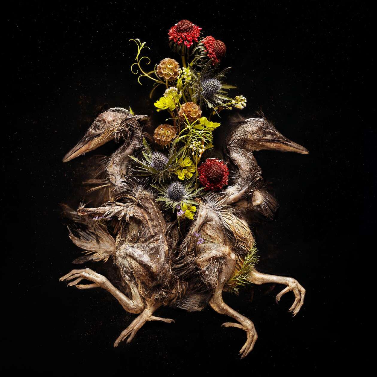 Leigh Schneider's Dark, Surreal, And Symbolic Photography (4)