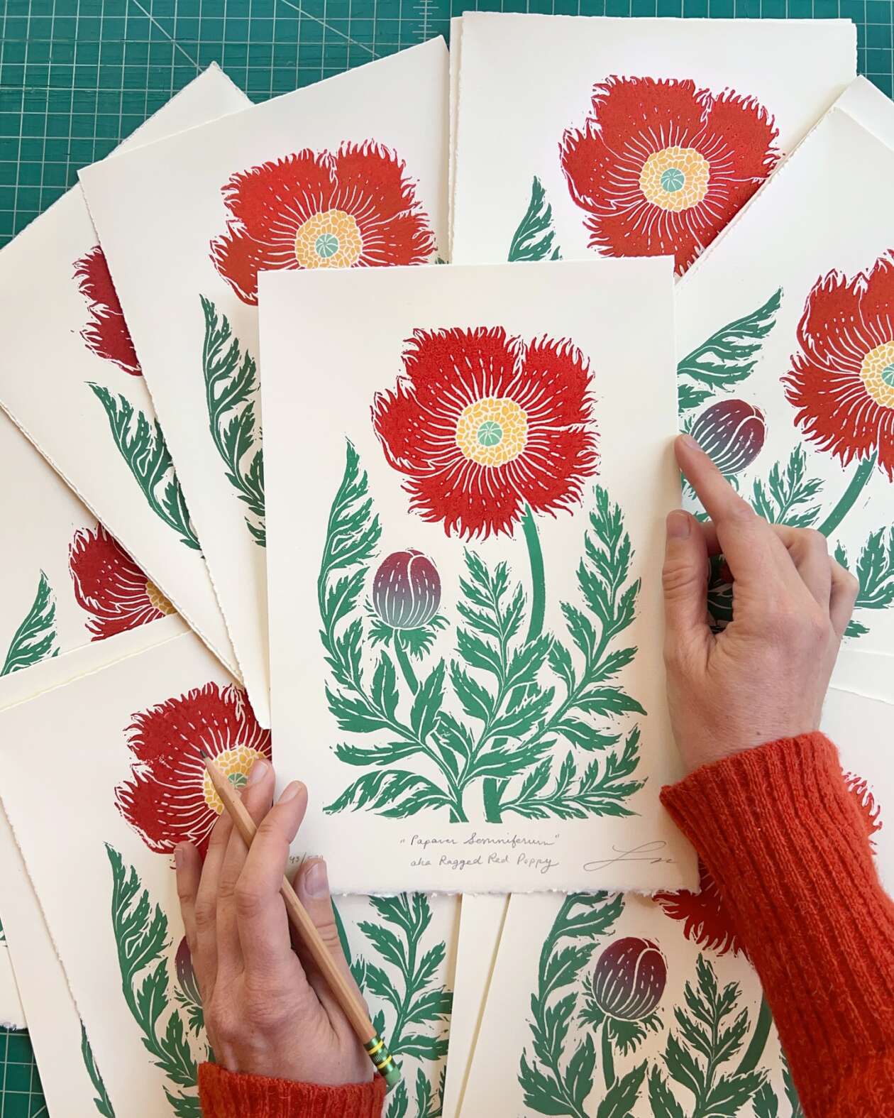 Lili Arnold’s Lush Botanical Prints (12)