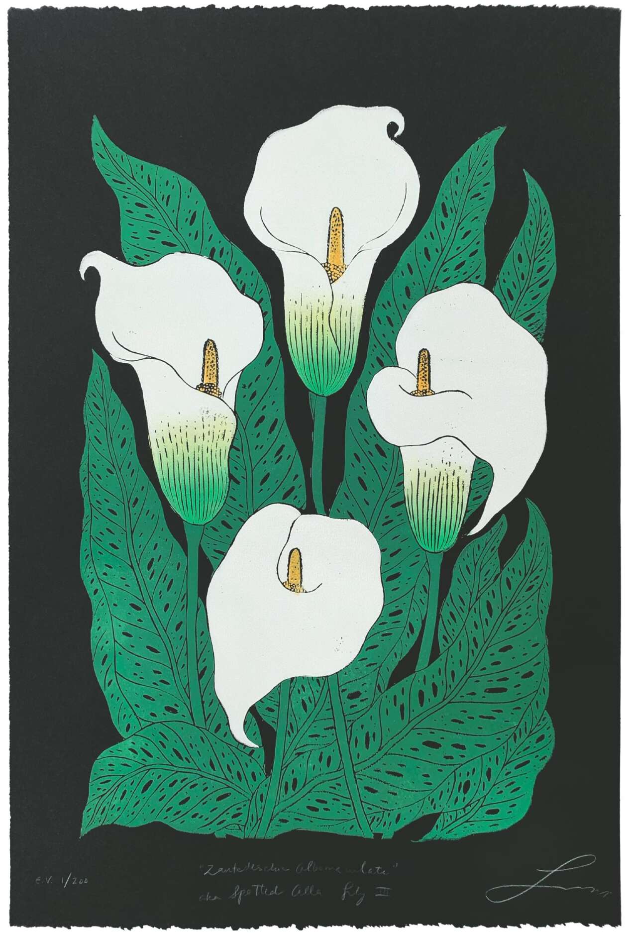Lili Arnold’s Lush Botanical Prints (2)