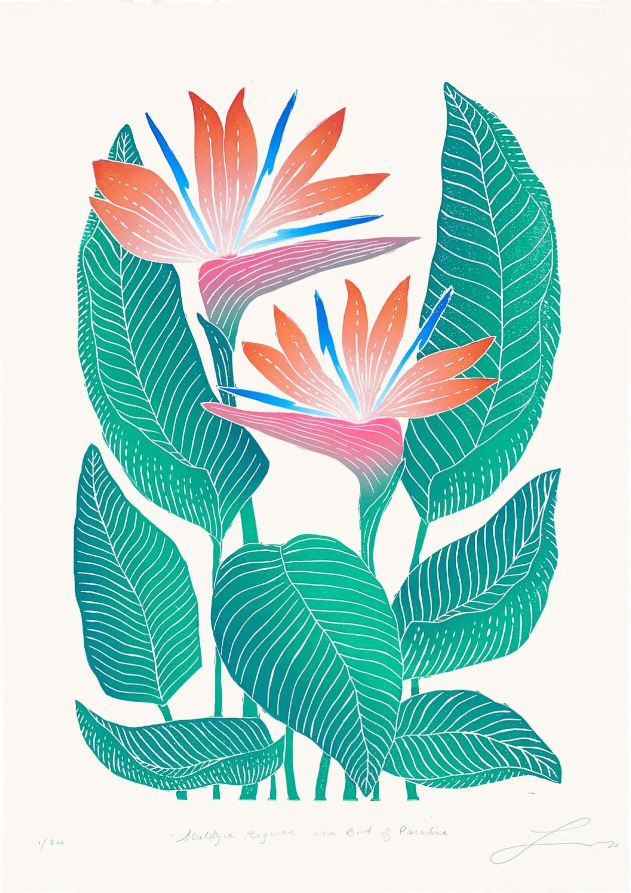 Lili Arnold’s Lush Botanical Prints (3)