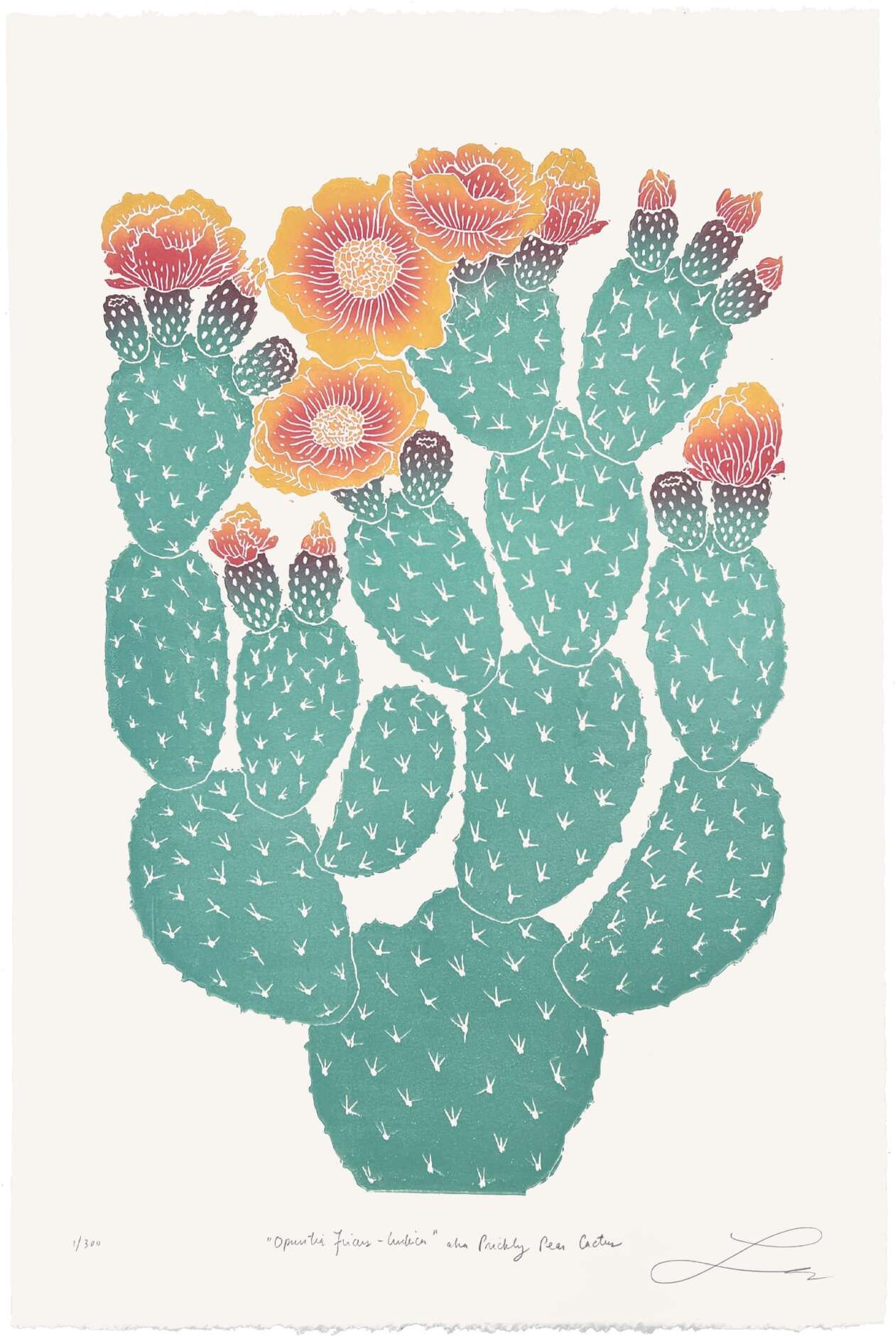 Lili Arnold’s Lush Botanical Prints (4)