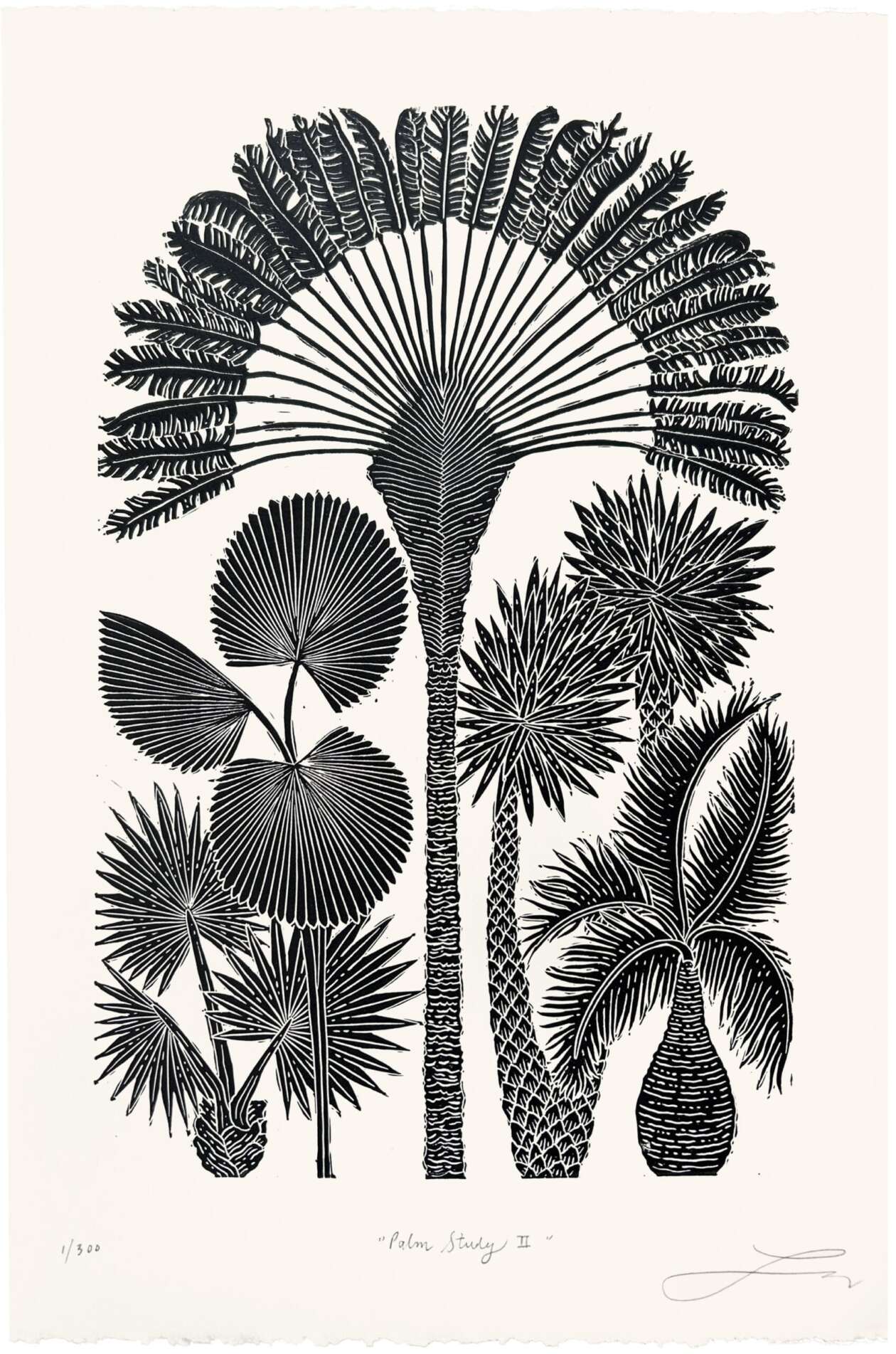 Lili Arnold’s Lush Botanical Prints (9)
