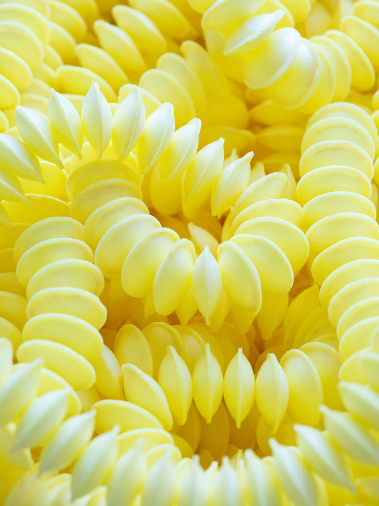 Simone Post’s 'sweet Memories' Installation (12)