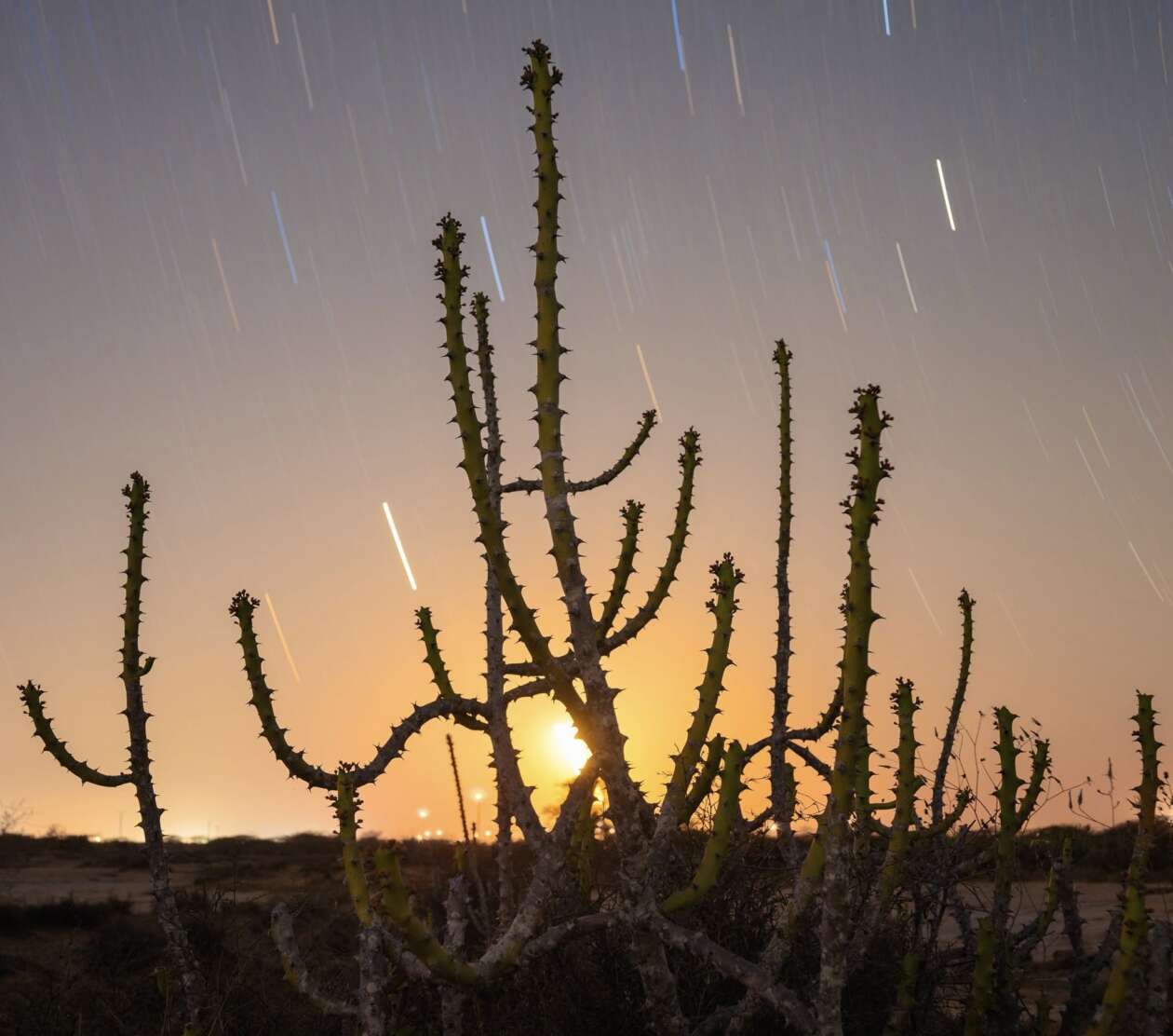 The Stuning Astrophotography Of Soumyadeep Mukherjee (2)
