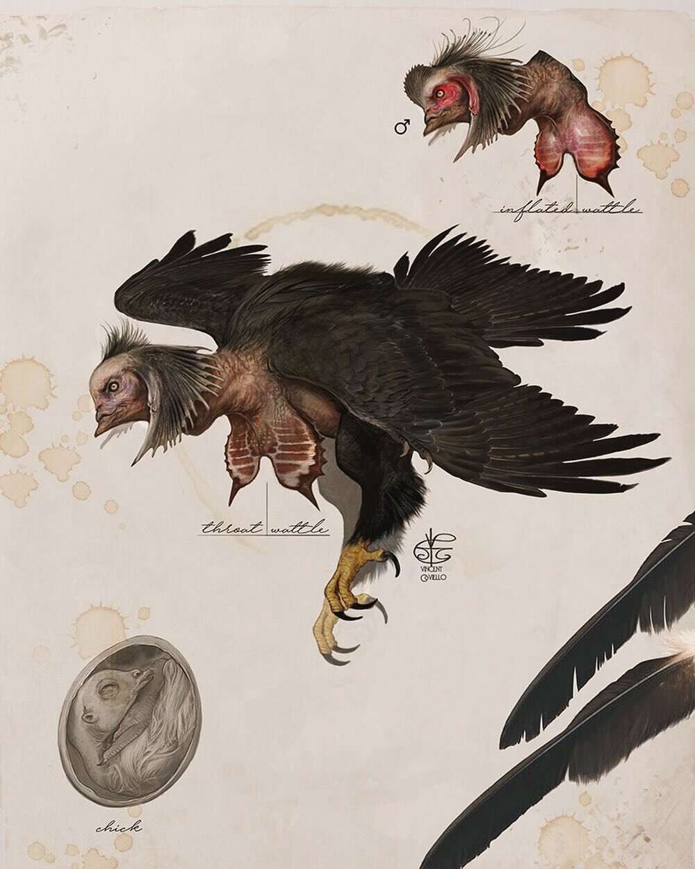 Vincent Coviello’s Fantasy Scientific Illustrations (13)