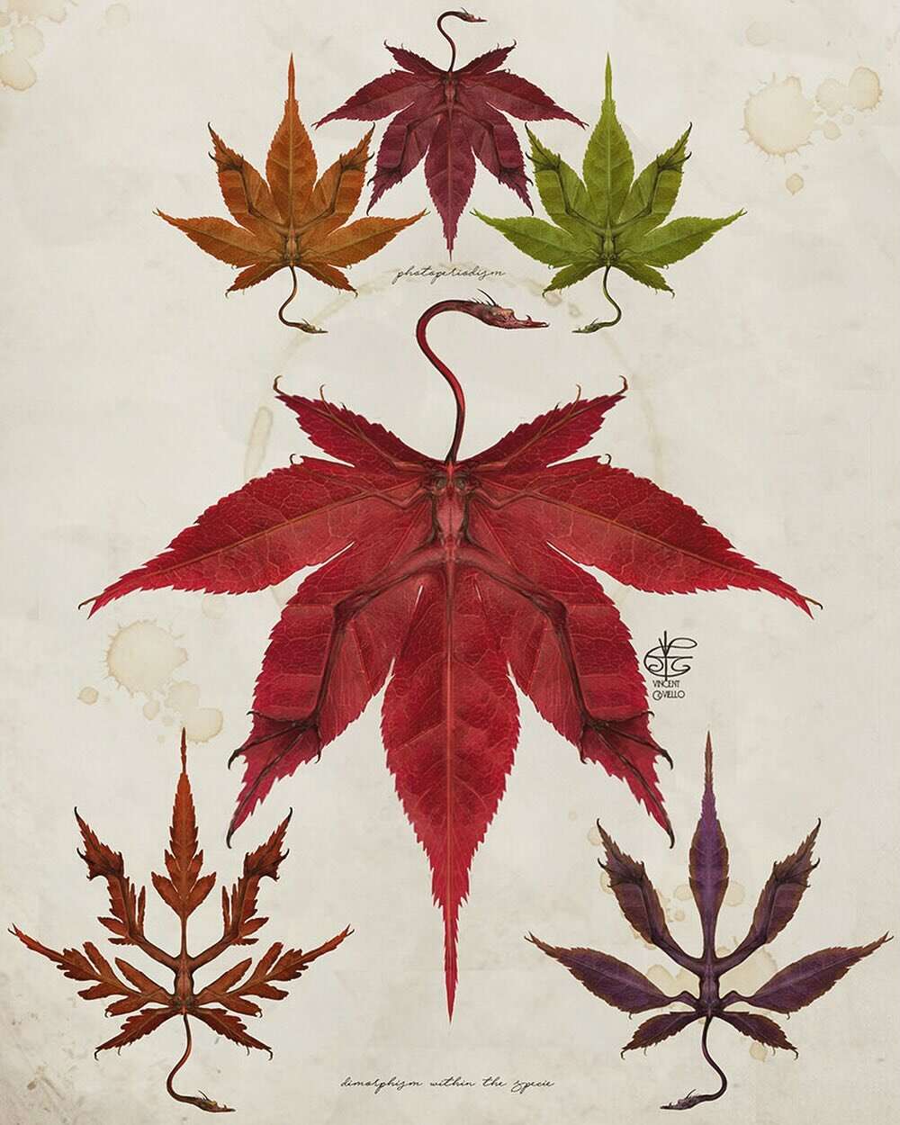 Vincent Coviello’s Fantasy Scientific Illustrations (5)