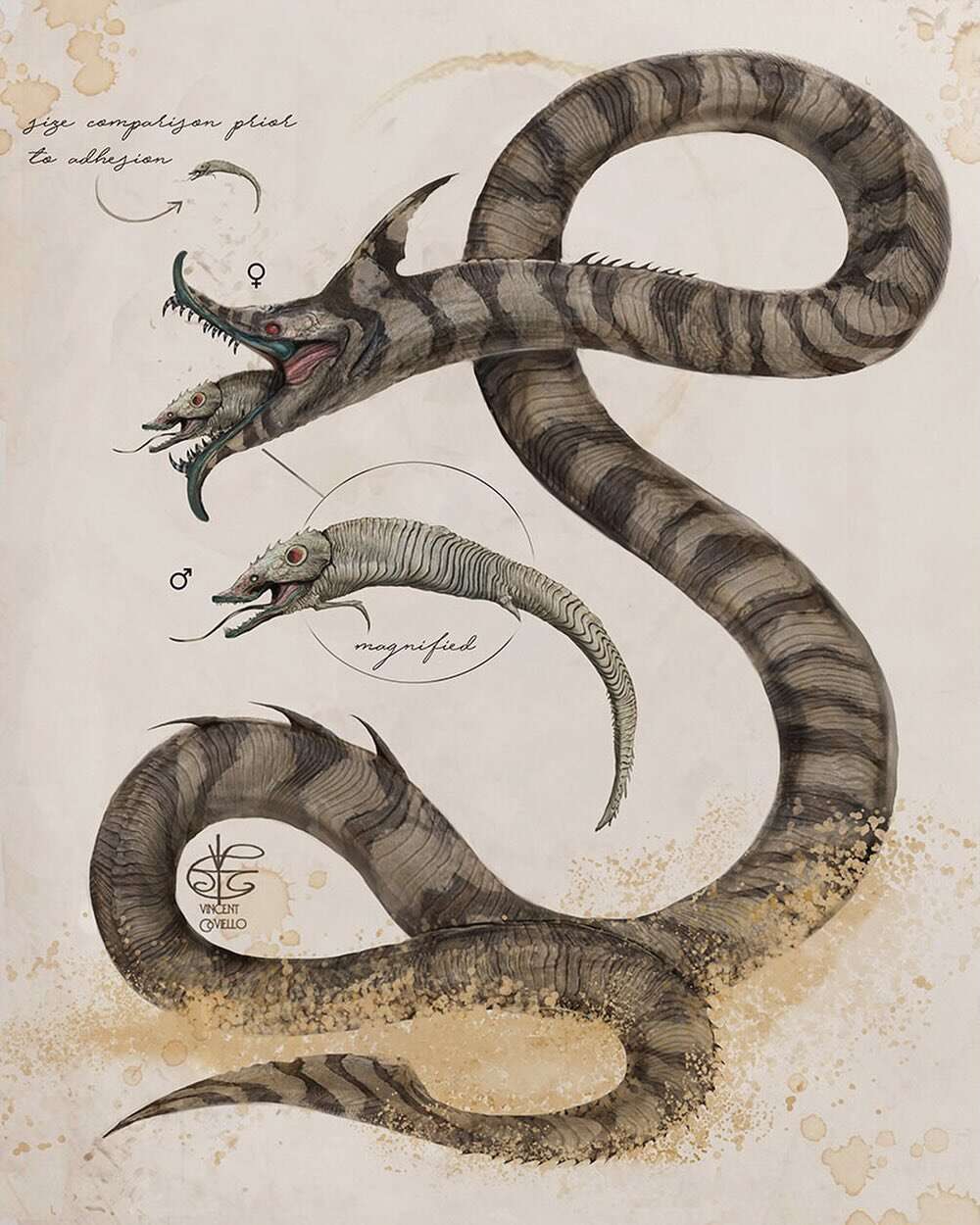 Vincent Coviello’s Fantasy Scientific Illustrations (6)