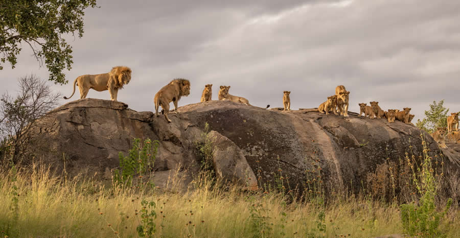 2025 North American Nature Photography Awards Winners (3)