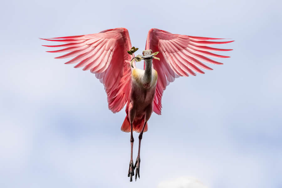 2025 North American Nature Photography Awards Winners (6)