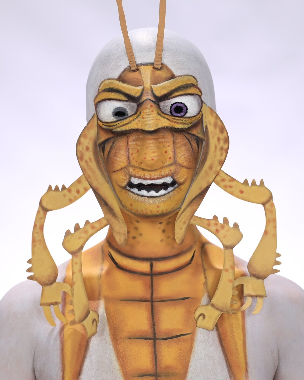 Annie Thomas’s Makeup Transformations (23)