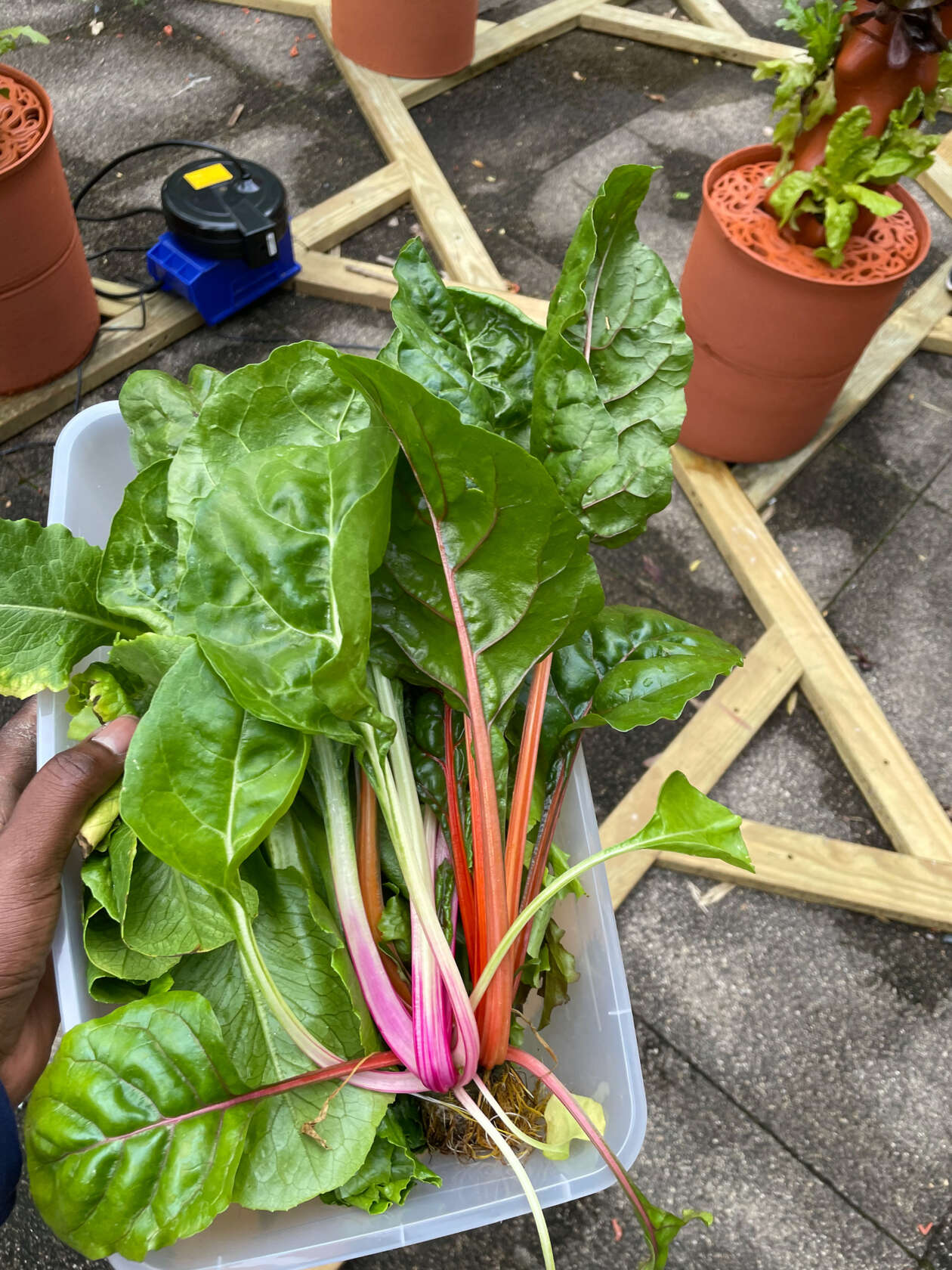 Clayponic V1 Logman Arja’s 3d Printed Clay Hydroponics (6)